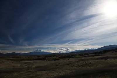 DSC_6772 (Large).JPG